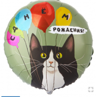  К 18" РУС ДР Кот и воздушные шары